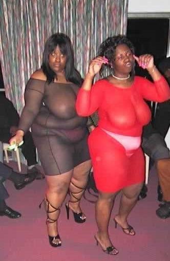 foto k příspěvku  od CervinVega