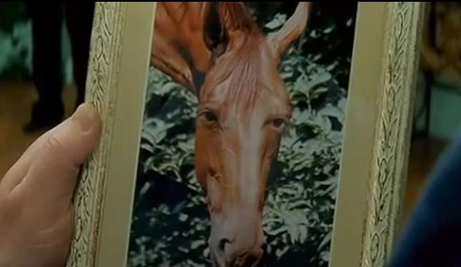 foto k příspěvku  od Rustapha-659