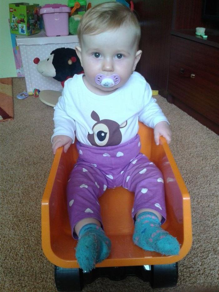 foto k příspěvku  od Timon.z