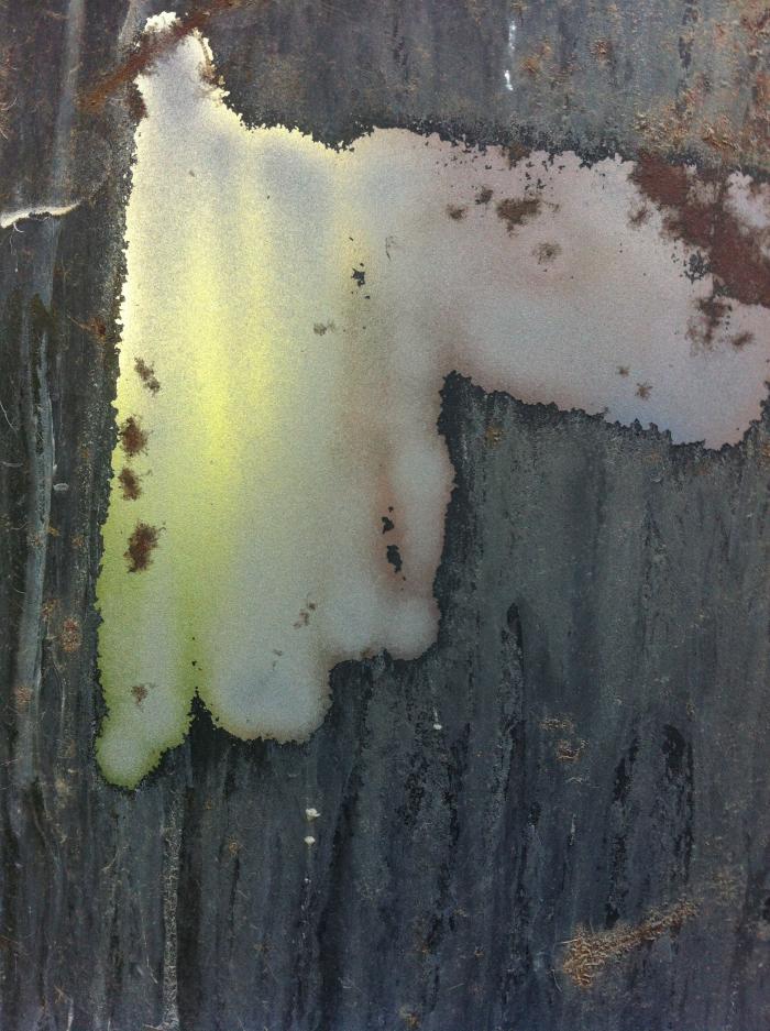 foto k příspěvku  od Sleepz