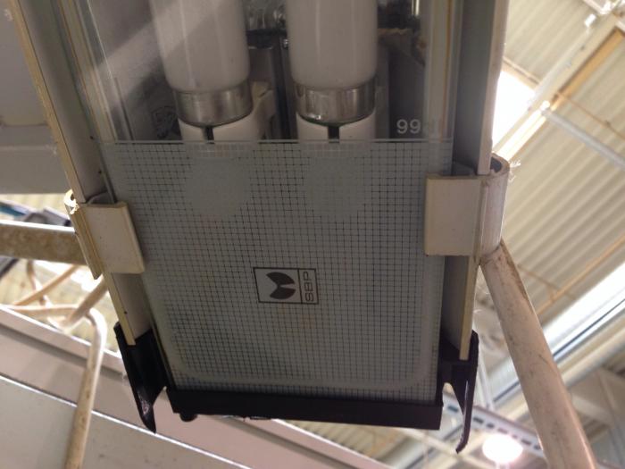 foto k příspěvku  od PAVELK